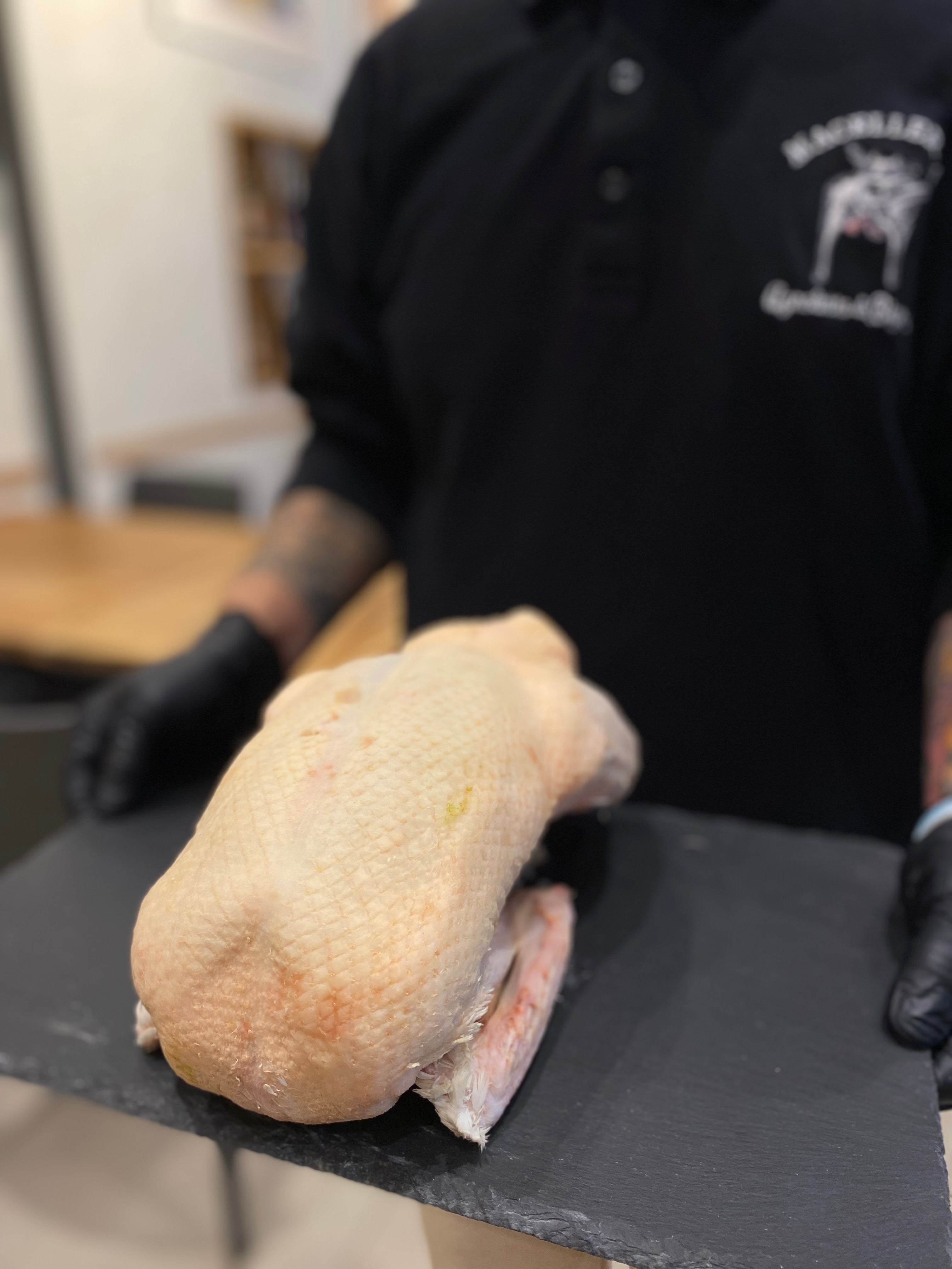 Anatra allevata in Italia